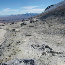 Bolivia